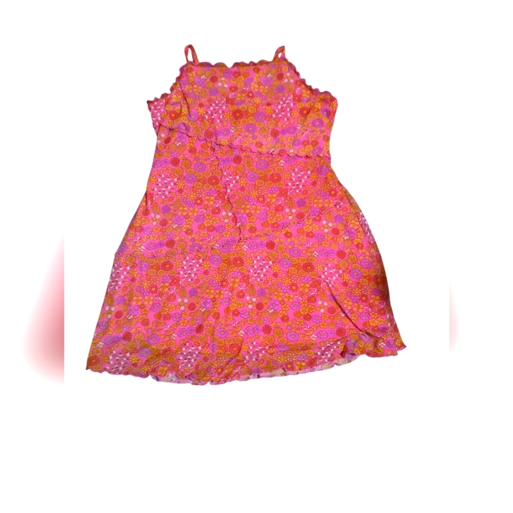 Wild Fable Floral Pink Dress